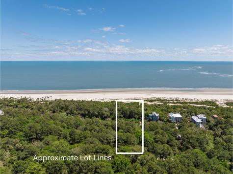 287 Pelican Flight Drive Dewees Island SC 29451
