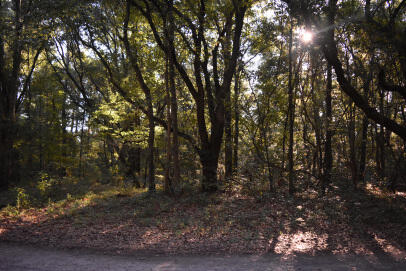 139 Earnestine Drive Georgetown SC 29440