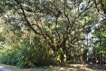 139 Earnestine Drive Georgetown SC 29440
