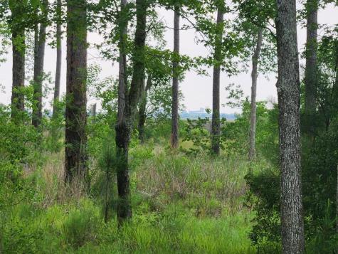 0 Bridal Path Boulevard Hardeeville SC 29927