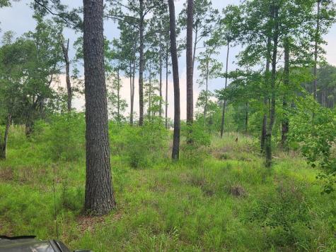 0 Bridal Path Boulevard Hardeeville SC 29927