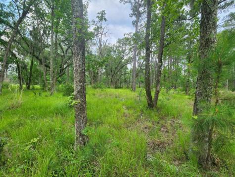 0 Bridal Path Boulevard Hardeeville SC 29927