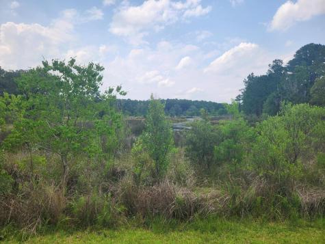 0 Bridal Path Boulevard Hardeeville SC 29927