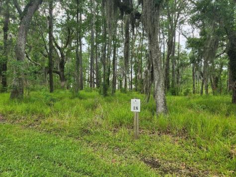 0 Bridal Path Boulevard Hardeeville SC 29927