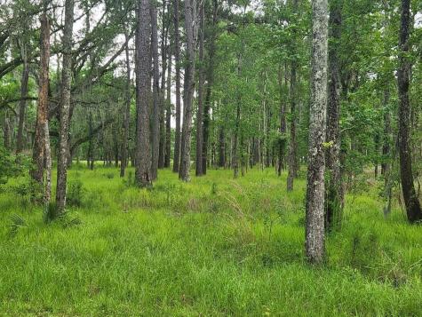 0 Bridal Path Boulevard Hardeeville SC 29927