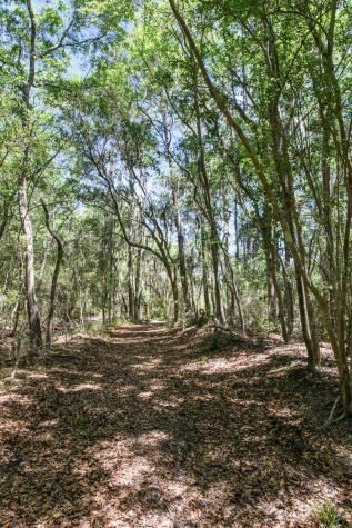 6180 Josie Ridge Road Wadmalaw Island SC 29487