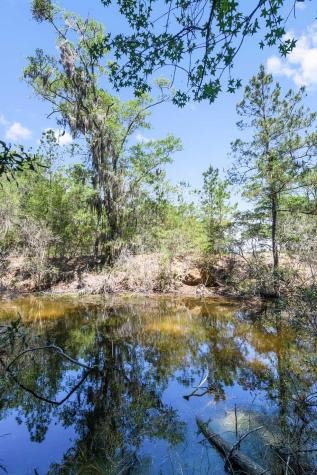 6180 Josie Ridge Road Wadmalaw Island SC 29487