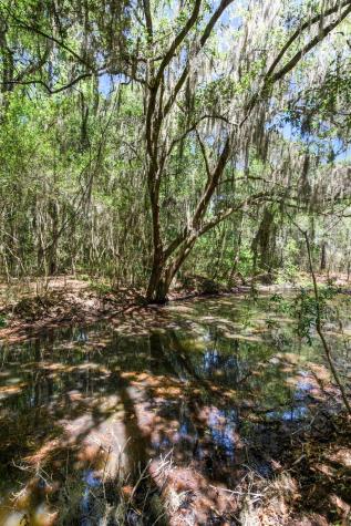 6180 Josie Ridge Road Wadmalaw Island SC 29487