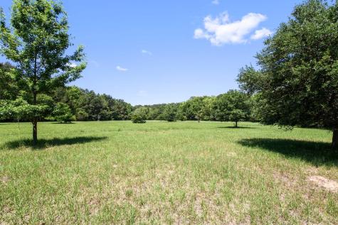 6180 Josie Ridge Road Wadmalaw Island SC 29487