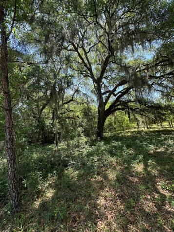 0 Willtown Road Hollywood SC 29449