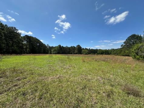 0 Willtown Road Hollywood SC 29449