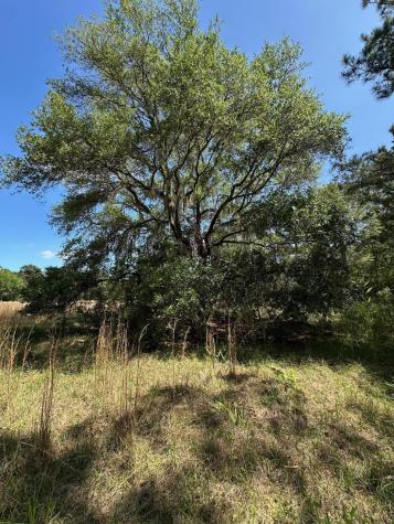 0 Willtown Road Hollywood SC 29449