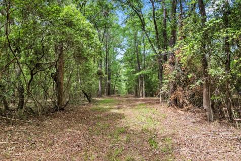 1 Frisco Lane Johns Island SC 29455