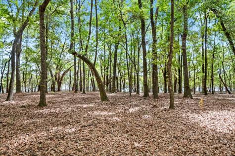 1 Frisco Lane Johns Island SC 29455