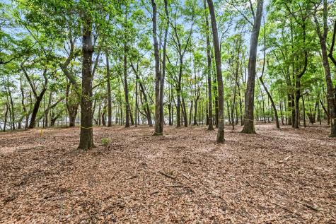 1 Frisco Lane Johns Island SC 29455