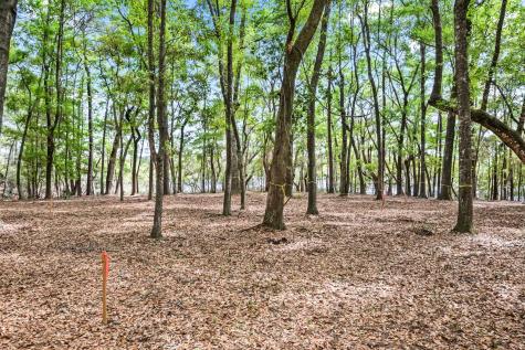 1 Frisco Lane Johns Island SC 29455
