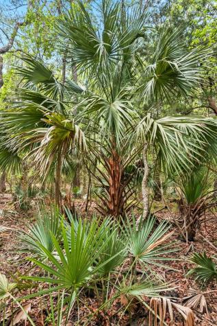 1 Frisco Lane Johns Island SC 29455