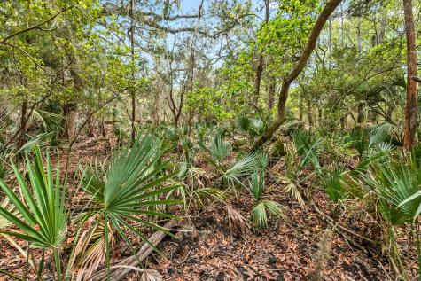 1 Frisco Lane Johns Island SC 29455