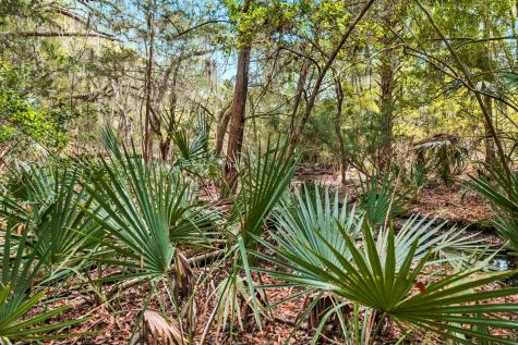 1 Frisco Lane Johns Island SC 29455