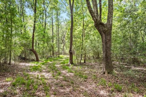 1 Frisco Lane Johns Island SC 29455