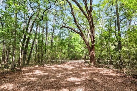 1 Frisco Lane Johns Island SC 29455