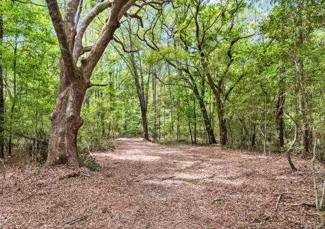1 Frisco Lane Johns Island SC 29455