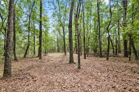 1 Frisco Lane Johns Island SC 29455
