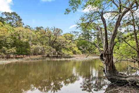 1 Frisco Lane Johns Island SC 29455