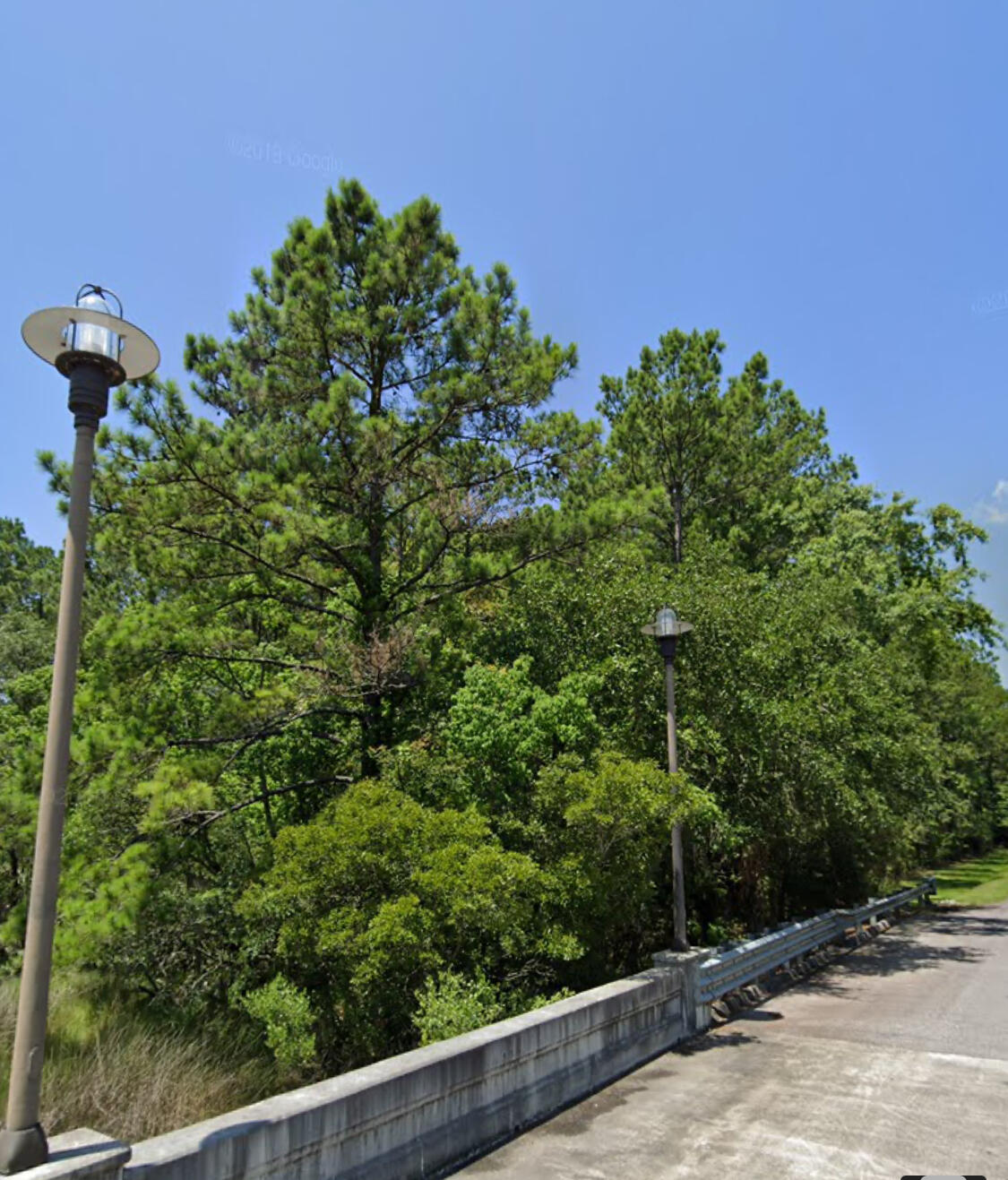 0 Sportsman Island Drive Wando SC 29492
