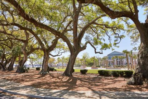 0 Sportsman Island Drive Wando SC 29492