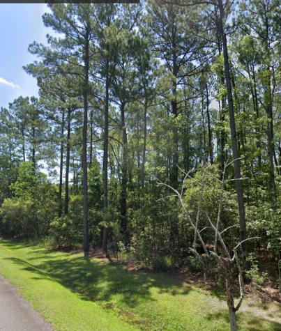 0 Sportsman Island Drive Wando SC 29492