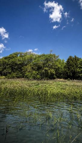 4001 Buccaneer Road Isle Of Palms SC 29451