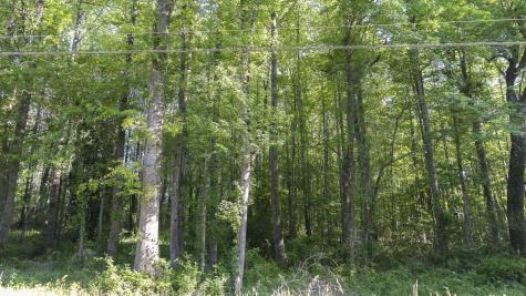 0 Botany Slopes Road Piedmont SC 29673