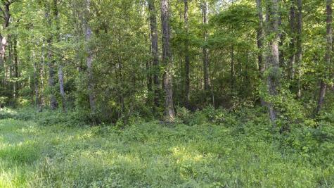 0 Botany Slopes Road Piedmont SC 29673