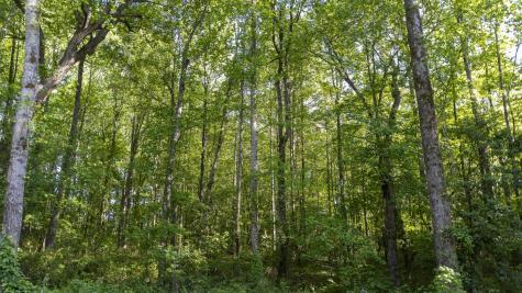 0 Botany Slopes Road Piedmont SC 29673