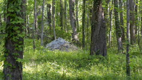 0 Botany Slopes Road Piedmont SC 29673