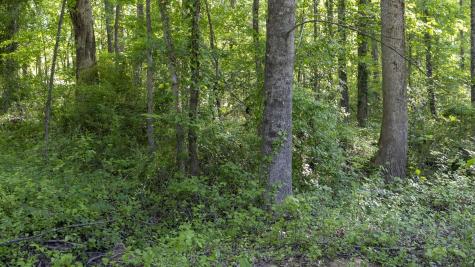 0 Botany Slopes Road Piedmont SC 29673