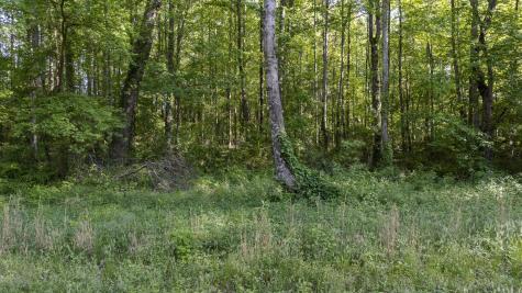0 Botany Slopes Road Piedmont SC 29673