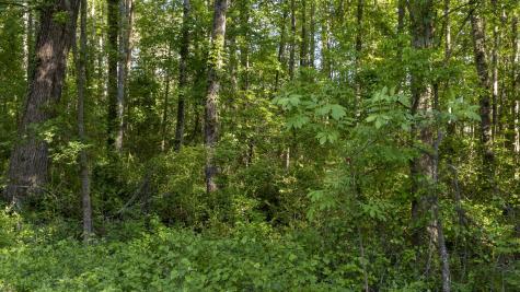 0 Botany Slopes Road Piedmont SC 29673