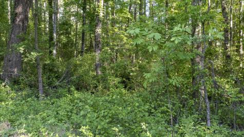 0 Botany Slopes Road Piedmont SC 29673