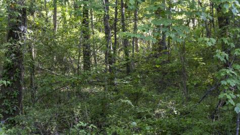 0 Botany Slopes Road Piedmont SC 29673