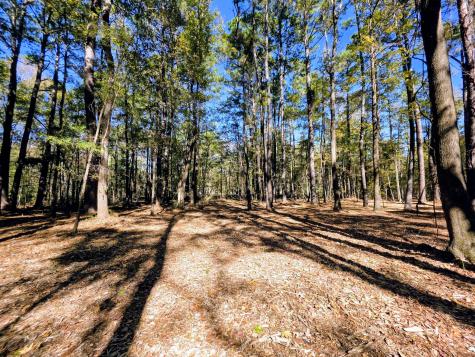 3047 Fickling Hill Road Johns Island SC 29455