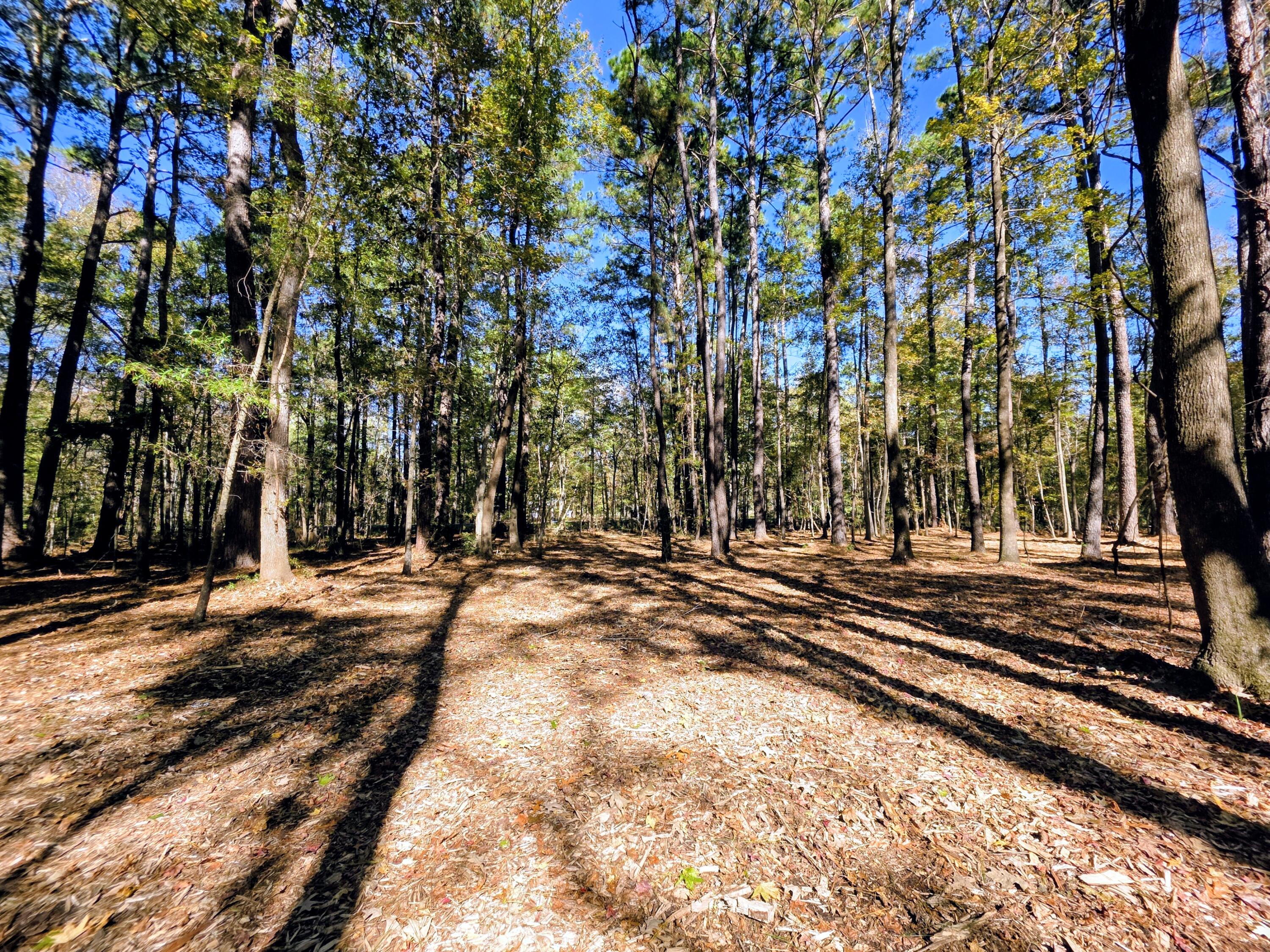 3047 Fickling Hill Road Johns Island SC 29455