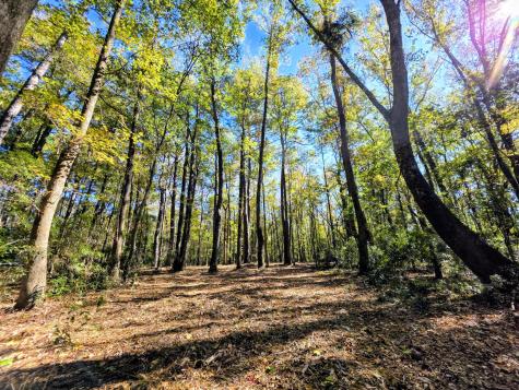 3047 Fickling Hill Road Johns Island SC 29455