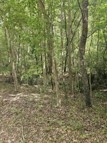 3910 Benjamin Road Johns Island SC 29455