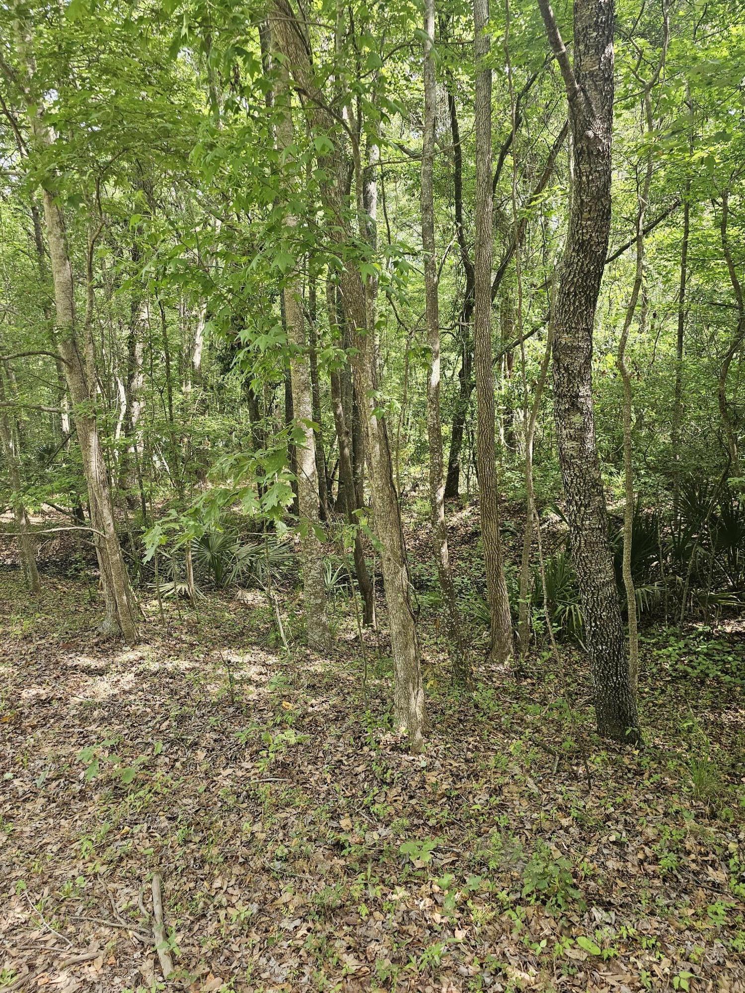 3910 Benjamin Road Johns Island SC 29455