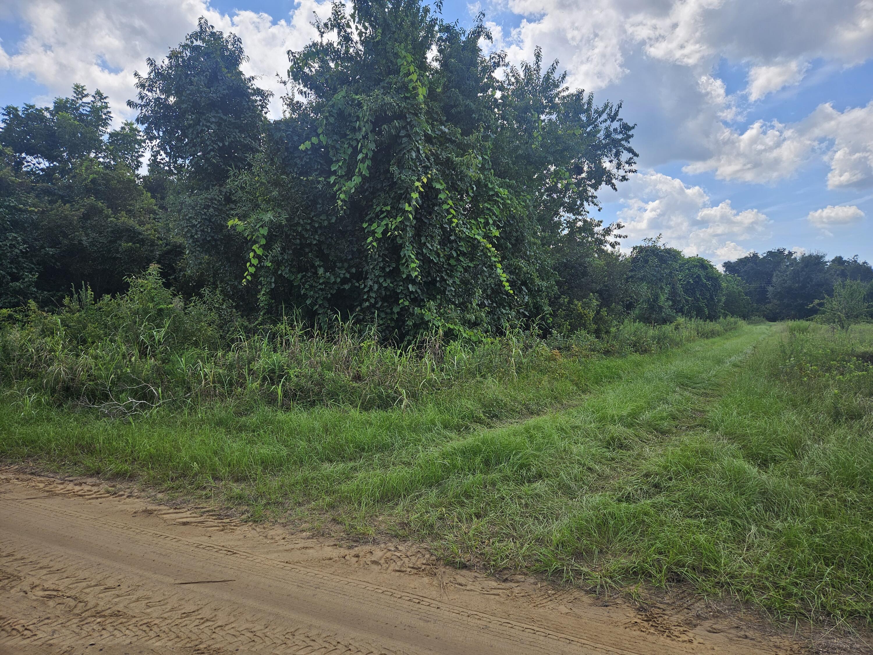 0 Jenkins Farm Road Johns Island SC 29455