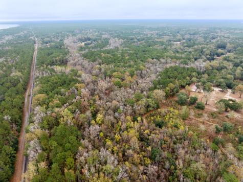 0 Mount Pleasant Drive Moncks Corner SC 29461