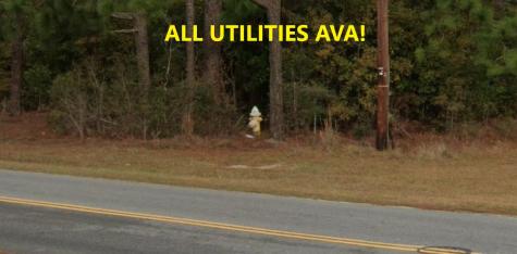 0 N Palmetto Street Summerville SC 29483