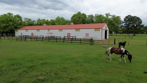 701 Truluck Vineyard Road Lake City SC 29560